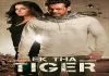 Ek Tha Tiger (2012) Hindi WEB-DL