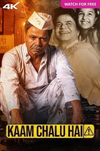 Kaam Chalu Hai (2024) Hindi Full Movie HD ESub