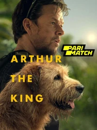 Arthur the King (2024) Hindi HQ Dubbed Full Movie HD
