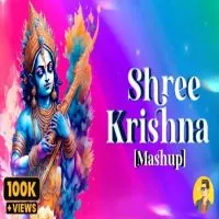 Shri Krishna (Mashup)