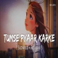 Tumse Pyaar Karke (Lofi Mix)