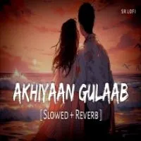 Akhiyaan Gulaab (Lofi Mix)