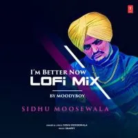 Im Better Now (Lofi Mix)