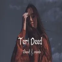 Teri Deed (Lofi Mix)