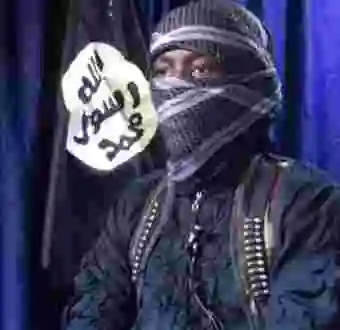Boko Haram releases new video claiming responsibility for #Zabarmarimassacre