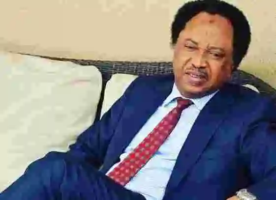 Insecurity: You Don’t Have The Luxury Of Time To Waste, Do The Needful – Shehu Sani Urges Tinubu