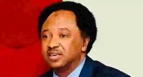 Hardship: Don’t Repeat It – Shehu Sani Warns FCT Residents Against Looting Govt Warehouses