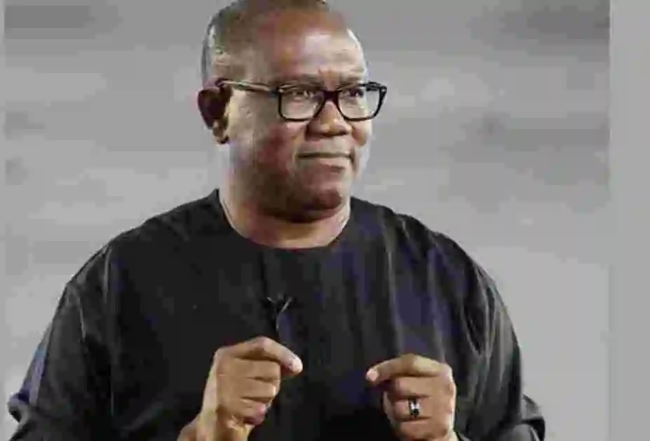 2023 Elections: I Won't Respond To Spokespersons Or Third-party Entities - Peter Obi