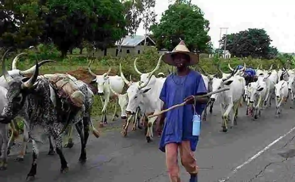 Herdsmen Kill 9 In Enugu Community