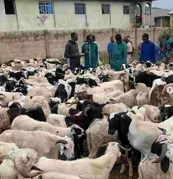 Shina Peller Donates Rams To 500 Families In His Constituency