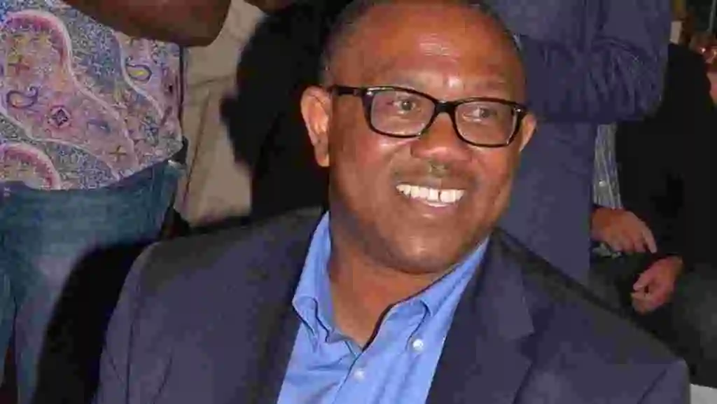 Over 60,000 Watch Peter Obi Speak at Chatham House, Promises to Fight Corruption, Insecurity