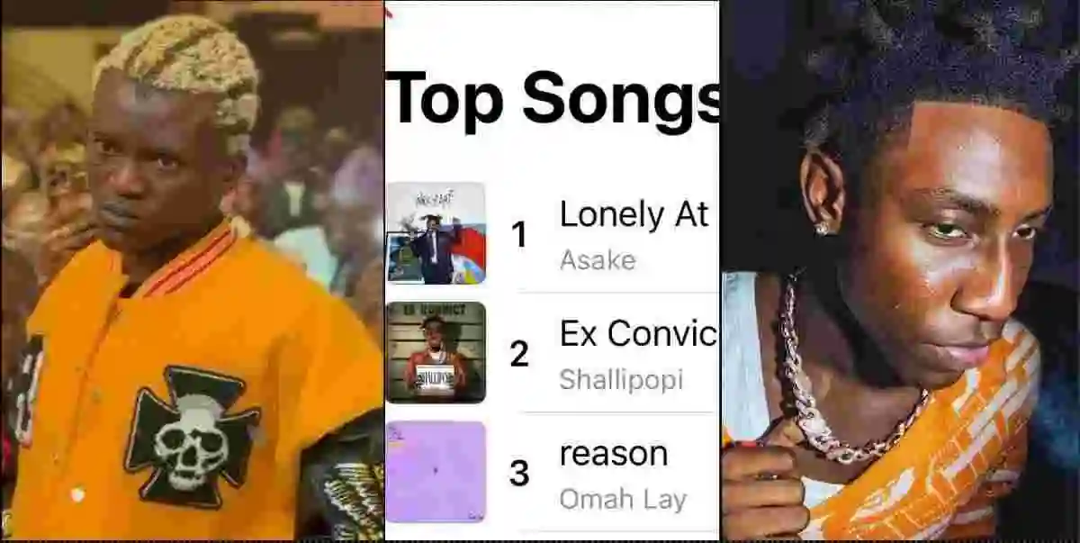 Shallipopi Is A Thief — Portable Fumes As Singer Hits Top 3 On Music Chart (Video)