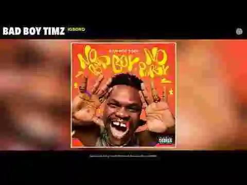 Music: Bad Boy Timz – Igboro