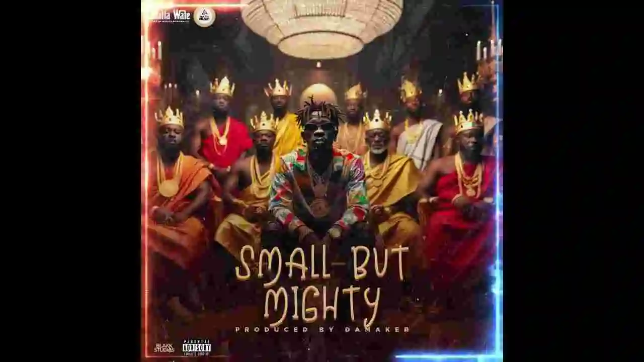 Music: Shatta Wale - Small But Mighty