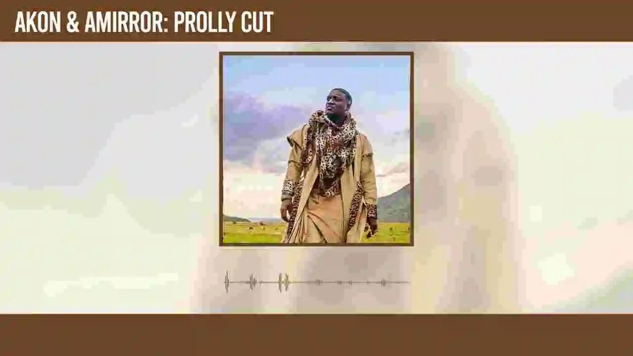 Music: Akon & Amirror - Prolly Cut