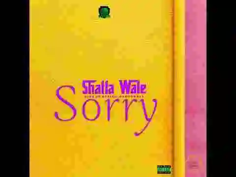 Music: Shatta Wale – Sorry