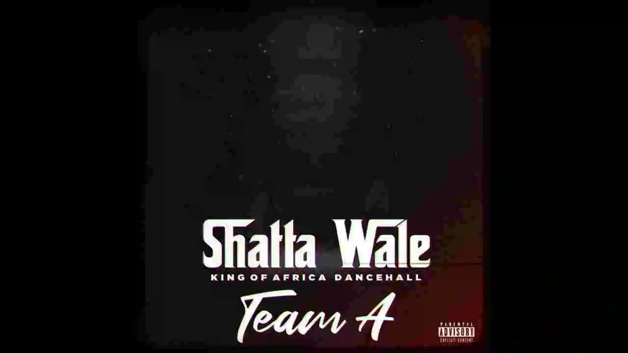 Music: Shatta Wale - Team A