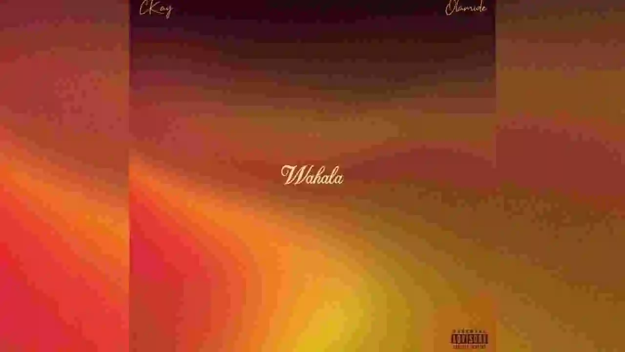 Music: Ckay ft. Olamide – Wahala