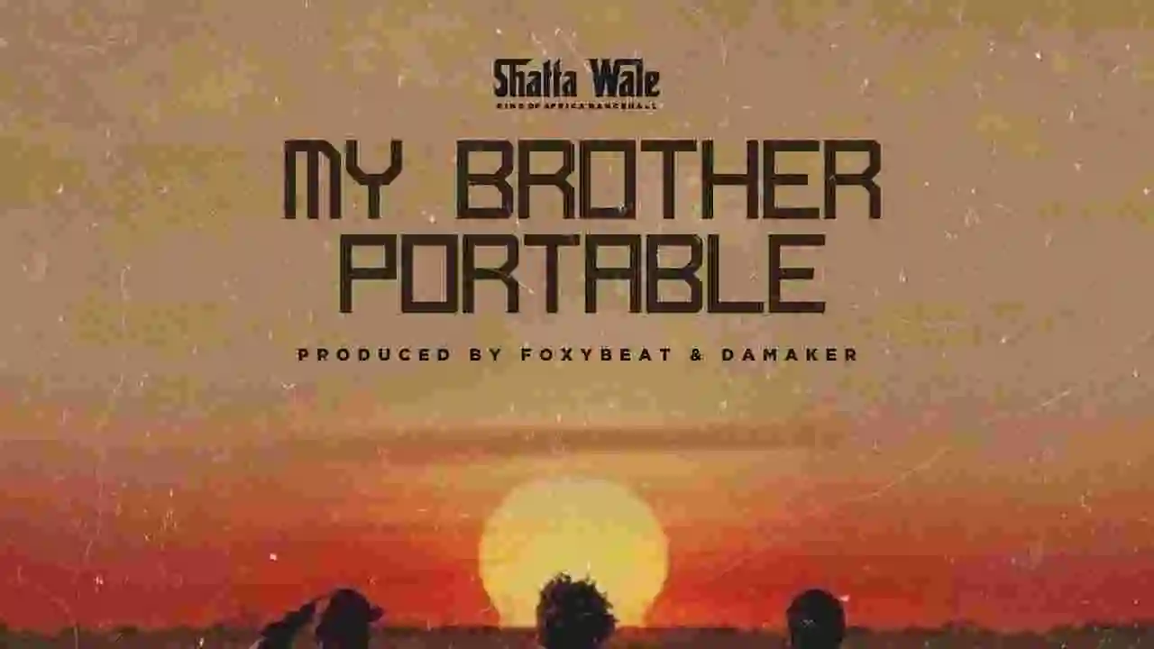 Music: Shatta Wale - Portable