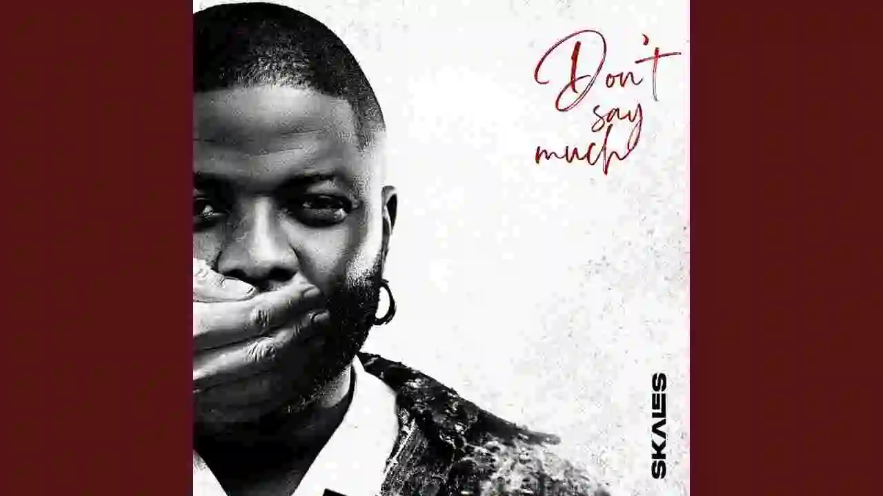 Music: Skales – Don't Say Much