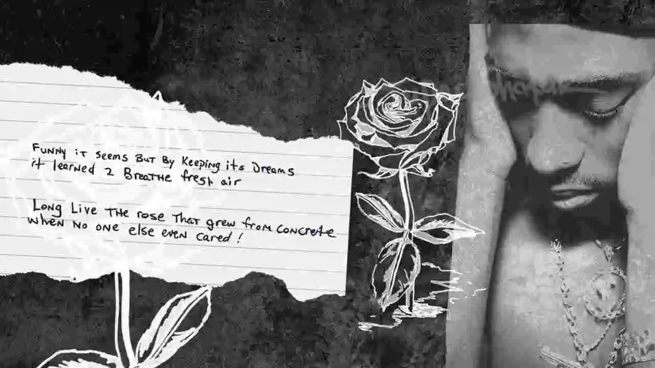 Music: 2Pac - The Rose That Grew from Concrete