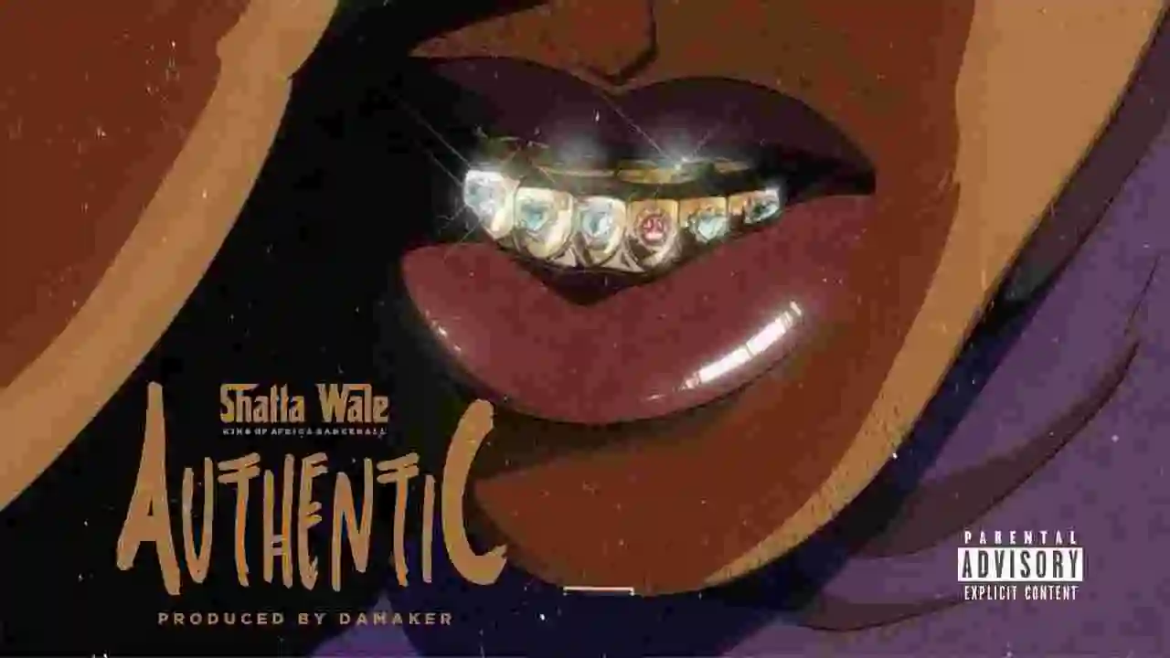 Music: Shatta Wale - Authentic
