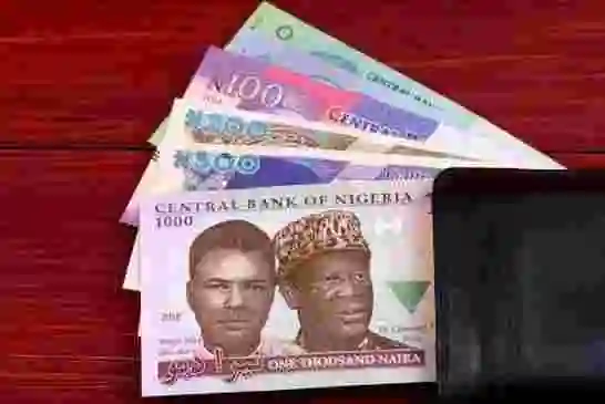 CBN redesigns new naira notes