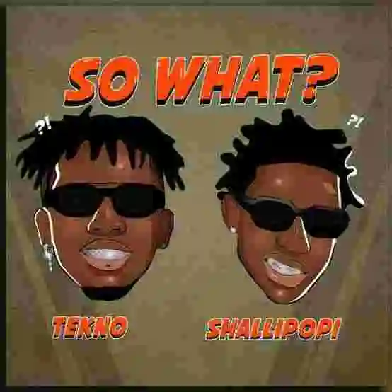 Music: Tekno – So What? ft. Shallipopi