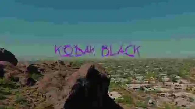 Video: Kodak Black - Dis Time
