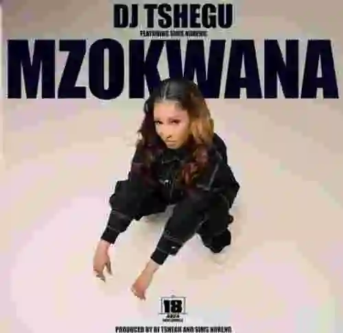 Music: Dj Tshegu – Mzokwana ft. Sims Noreng