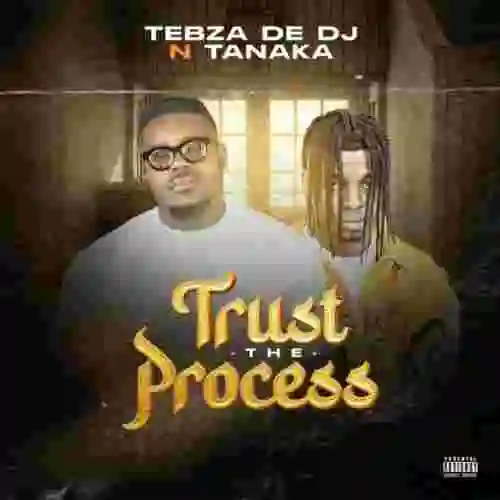 Music: Tebza De DJ & ViRE – Trust the Process