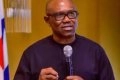 Hardship: It Is Heartbreaking – Peter Obi Reacts As Seven Die in Lagos Stampede While Trying to Purchase N10k Rice