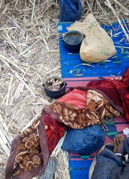 Police Arrest Kaduna Bandit Planning To Set Up Camp In Kano Forest