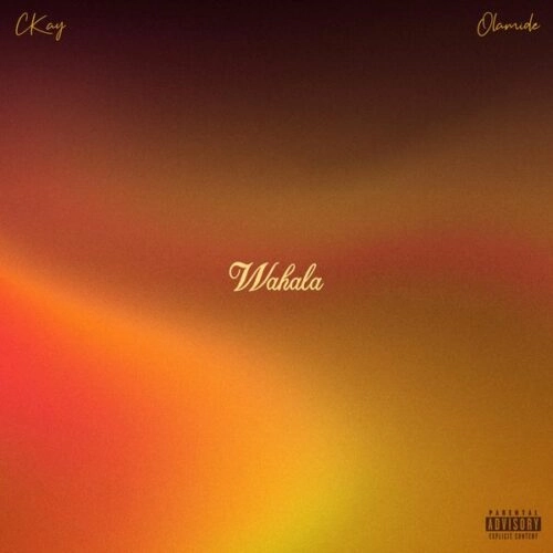Ckay & Olamide – “Wahala” Lyrics