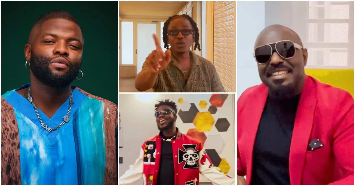 Jim Iyke, Mr Macaroni, Timini, Broda Shaggi, Ebuka, Other Celebs Jump on Skales’ New Song, He Shares Video