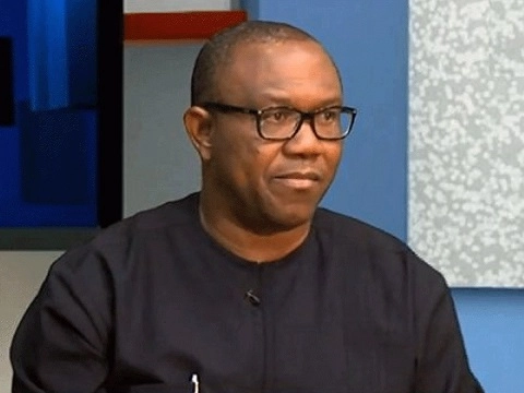 2023: Peter Obi Is A Good Man, He Is Qualified – Former PDP Chairman