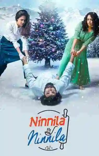 Ninnila Ninnila (2021) WEB-DL South Dual Audio [Hindi ORG And Tamil] 720p And 480p HD Full Movie